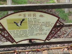 -艾溪湖湿地公园