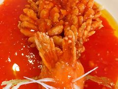 -丁老爷子苏香圆
