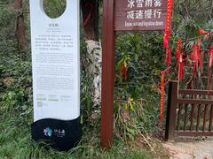 -常德桃花源景区