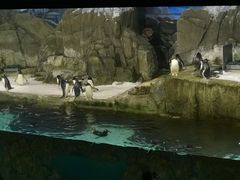 -成都浩海立方海洋公园