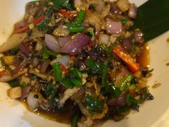 -蜗牛小馆醉乡民谣云南菜(惠新西里店)