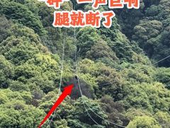 -衢州大荫山丛林飞越探险乐园