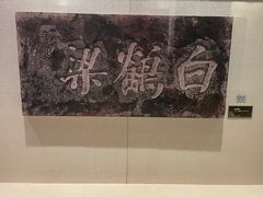 -白鹤梁水下博物馆