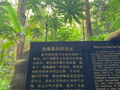 -中国科学院西双版纳热带植物园