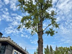 -南通濠河风景名胜区