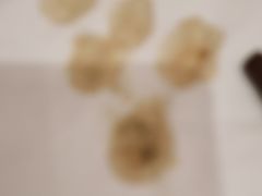 -东北四季饺子王(华山路店)