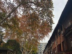 -殷姐糯米包油条