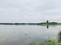 -迎泽公园