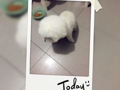 -宠爱有家宠物店(环镇北路店)