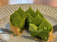抹茶挞-猫里有甜