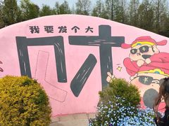 -荷兰花海
