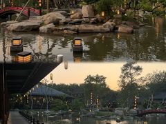 -仙湖旅游度假区