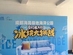 -海合安成都极地海洋公园