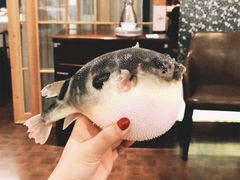 -肆月河豚·新淮扬(金融街店)