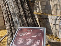 -青岛崂山太清宫