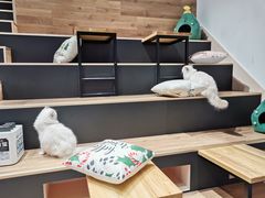 -瞄一喵猫咖(格力海岸店)