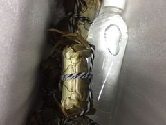 -丫丫蟹庄·苏式园林农家乐·阳澄湖大闸蟹(阳澄湖莲花岛店)