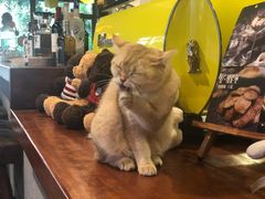 -咖法森林·咖啡  酒吧(天河店)