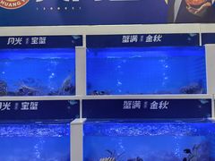 -蟹状元大闸蟹·年货·粽子(成都成华店)