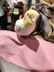 -Zoolung Zoolung动物主题公园(海信广场店)