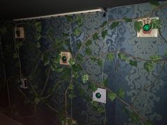 -MJ魔爵全机关真人密室逃脱(万达广场松江店)