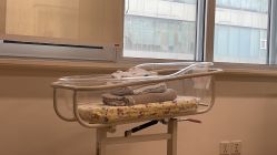 -杭州贝瑞斯美华妇儿医院·早孕·产检·儿科