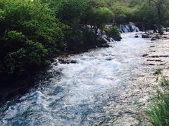 -九寨沟-树正沟