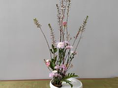 -汉艺唐风茶艺培训(联发华美空间店)