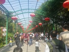 -石家庄市动物园