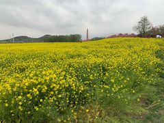 -西海岸生态观光园