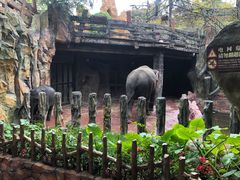 -长鹿旅游休博园