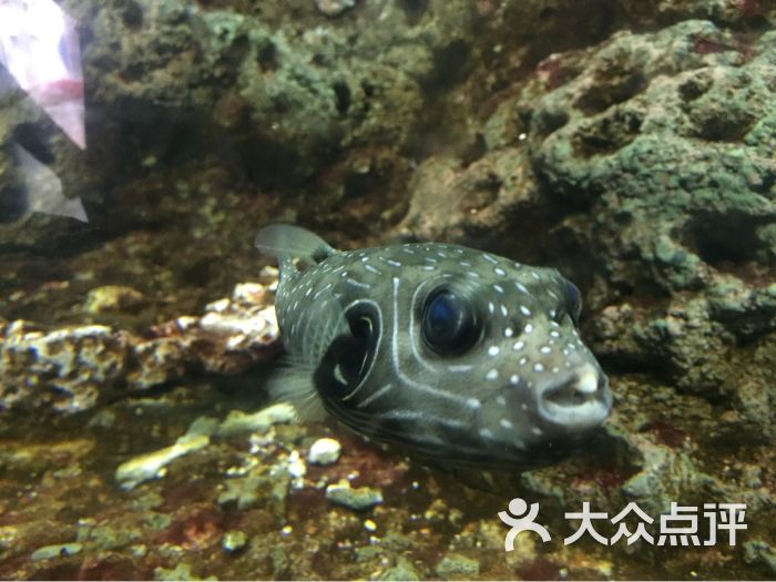 蠡湖中央公园海底世界海底世界图片 - 第1111张