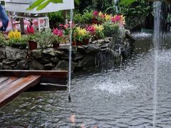 -花溪雨·森林餐厅(石基店)