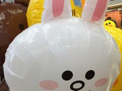 -line friends(明洞旗舰店)