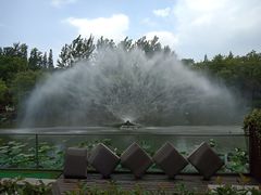 -梅林春晓花园餐厅