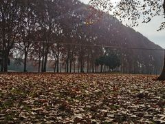 -河南省黄河迎宾馆