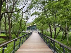 -西湖风景区-江洋畈生态公园