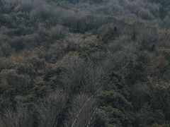 -宜兴龙背山森林公园