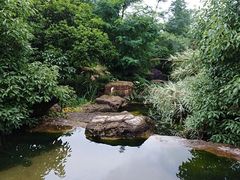 -铁山坪森林公园