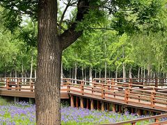 -汉长安城未央宫国家考古遗址公园