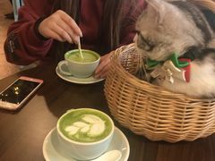 -共舞时光猫咖·狗咖(新街口店)