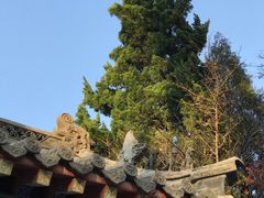 -青岛崂山太清宫