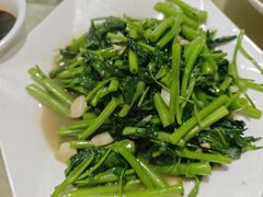 -夏军农家乐