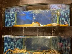 -陶陶居·雅园(凯华国际店)