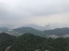 -大金鹰园