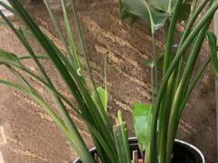 -锦江之星品尚(杭州西湖大道南宋御街店)