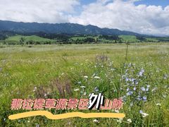 -新疆那拉提国家旅游度假区