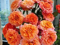 -森野花艺培训·企业团建活动沙龙