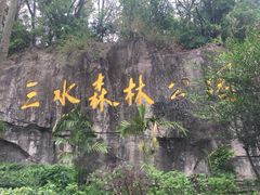 -三水森林公园