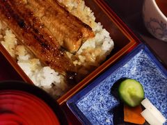 -料亭菊水楼